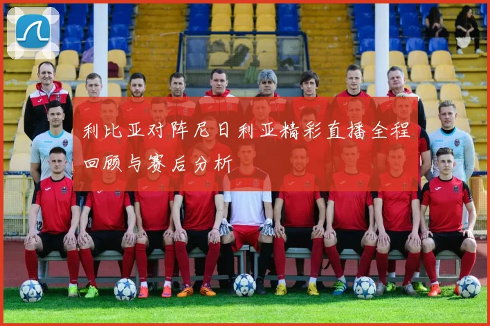 利比亚对阵尼日利亚精彩直播全程回顾与赛后分析