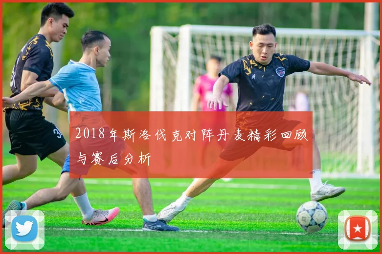 2018年斯洛伐克对阵丹麦精彩回顾与赛后分析