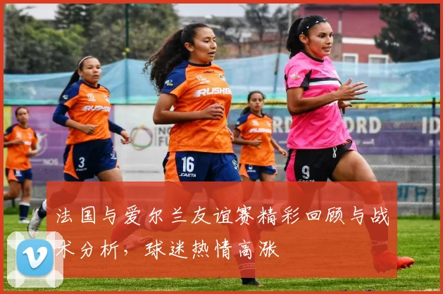法国与爱尔兰友谊赛精彩回顾与战术分析，球迷热情高涨
