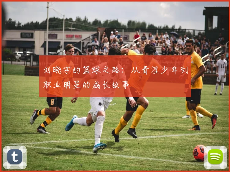 刘晓宇的篮球之路：从青涩少年到职业明星的成长故事