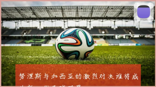 努涅斯与加西亚的激烈对决谁将成为新一代足球明星