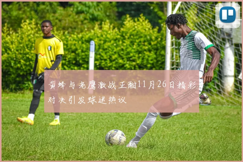 黄蜂与老鹰激战正酣11月26日精彩对决引发球迷热议